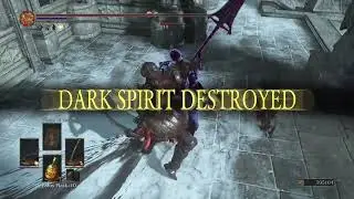 DS3 PVP 영상10
