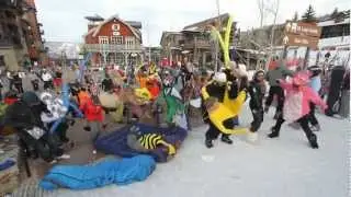 Harlem Shake (Snowmass Style)