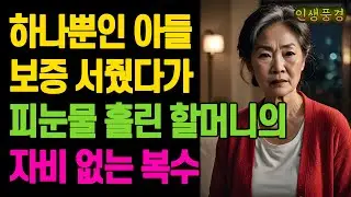 하나뿐인 아들 보증 서줬다가 피눈물 흘린 할머니의 자비 없는 복수 노년의 삶의 지혜 행복한 노후생활 부모자식갈등 사연 이야기 오디오북