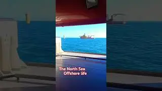 Offshore wind farm installation #shorts