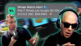 🔴 Easy x1000 with AssetDash Whale Watch