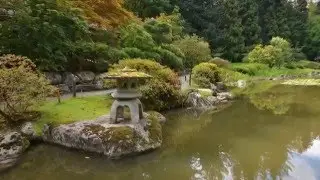Seattle Japanese Garden
