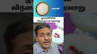 எது ஒரிஜினல் ஜவ்வரிசி ?! #drkarthikeyantamil
