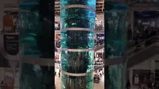 Аквариум в торговом центре тц