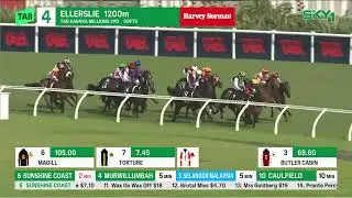 Karaka Millions 2YO 2026 - DREAM ROCA (2YO SW LR) Listed Ellerslie NZ 24 January