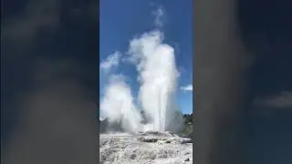 Te Puia - Rotorua # Newzealand # hot springs # shorts # viral # trending