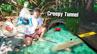 Finding CREEPY FISH In HIDDEN TUNNEL For My Aquarium!
