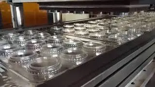 D-800B PET LID PRODUCTION