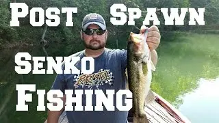 Post Spawn Bass Fishing Tips - Senko