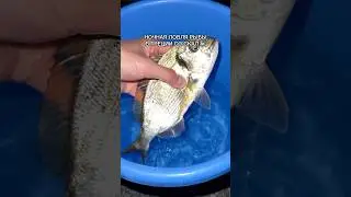 Ловля рыбы в море со скал #морскаярыбалка #море #рыбак #греция #рыбалка