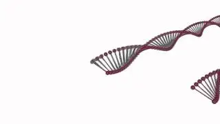 Discover USciences - Where healthcare and science converge.