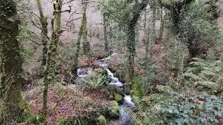 Senda Ponte de Ramo (concello de Cuntis)