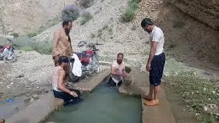 Beautiful swimming challenge #animals#swimmingpool#viralvideo#waterpark