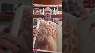 CheftoChef Emilia-Romagna cuochi: le idee dello chef Alberto Bettini