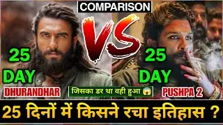 Dhurandhar Box Office Collection, Dhurandhar vs Pushpa 2 Comparison Day 25, Akshay Khanna, Ranveer S