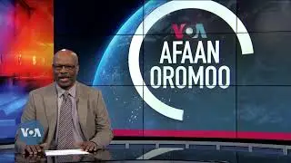 Tamsaasa Guyaadhaa Guyyaa