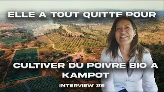 L’histoire incroyable de Delcy et sa ferme de poivre à Kampot 🇰🇭