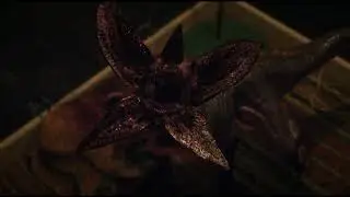 All Demodog scenes in Stranger Things seasons 2-5