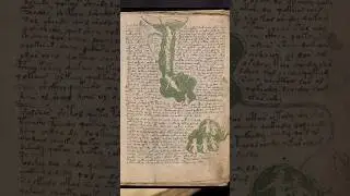 The Mystery of the Voynich Manuscript: History&rsquo;s Most Enigmatic Book #voynichmanuscript #script