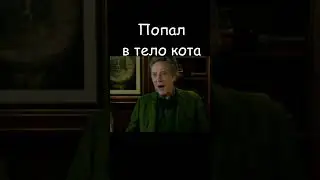 Девять жизней 🐾   #online #ksufilm #кино #cat #top #комедия #movie #обзор #shorts