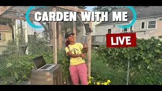 Hydro to Soil: Let&rsquo;s Transplant Together!