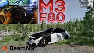 INSANE BMW M3 (F80) AT Reshjemheia IN Beamng