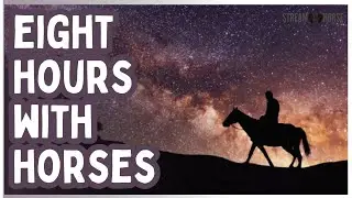 8 Hours of Horses & the Infinite Calm 🌌🐎 Deep Meditation, Exploration & Rest