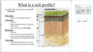 AP Environmental Science (APES) Почвенные горизонты