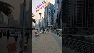 Wonderful Marina Walk Evening View🇦🇪😍| #shorts #shortsfeed #marinawalk #evening #view #dubai #viral