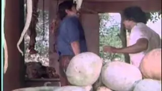 Mammootty fight scene