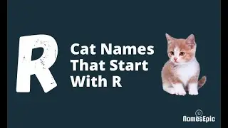 20 Best Cat Names That Start With R | Male and Female Cat Names