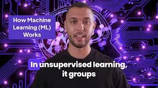 How Machine Learning (ML) Works