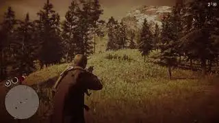Red Dead Redemption 2 Story