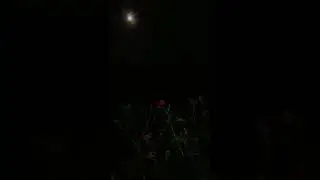..🥀..