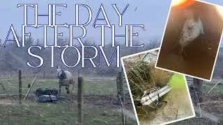 The aftermath of storm Eowyn | we were lucky! | red weather warning