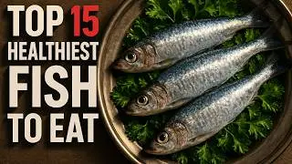 I Ranked The Top 15 Healthiest Fish to Eat