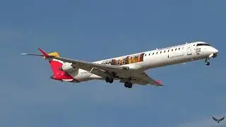 Landing Mitsubishi CRJ-1000 EC-MJO Iberia Regional (Reserva La Rioja Livery) Madrid Airport 24/08/25