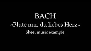 J. S. Bach, Blute nur, du liebes Herz - Sheet music example