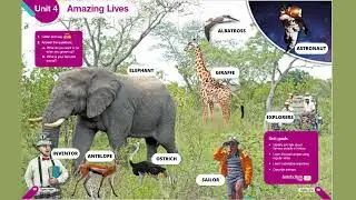 6&ordm; B&Aacute;SICO - UNIT 4 - AMAZING LIVES