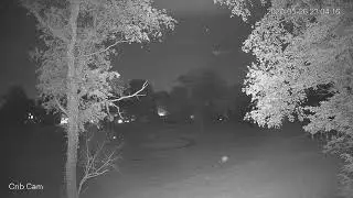Bugs in IR