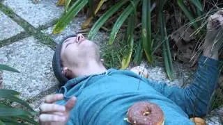 Donuts
