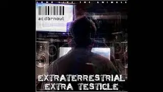 AcdBrnOut - Candy Flip (Long Live The Animals)