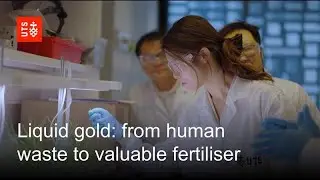 Liquid gold: from human waste to valuable fertiliser