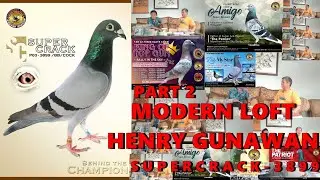 PART 2 - CERITA SUPERCRACK DAN AWAL MULA BERMAIN MERPATI POS - MODERN LOFT (HENRY GUNAWAN)