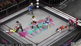 Battle of Holobirds