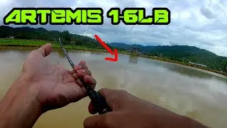 Rod UL Artemis 1-6lb Shopee Tested!!