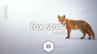 fox story - Rexlambo | Vlog Music No Copyright Chill Background Music For Videos Montage Music