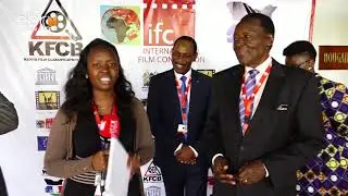 International Film Convention 2017