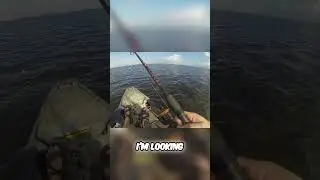 Потрясающий улов на рыбалке с каяка! Еще одна гигантская рыба в клюве!