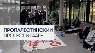 В Гааге полиция арестовала активистов за протест против сделки с Израилем